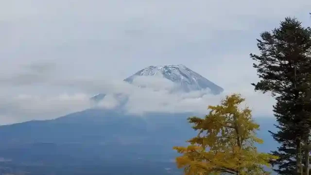 ソロキャンプ日記