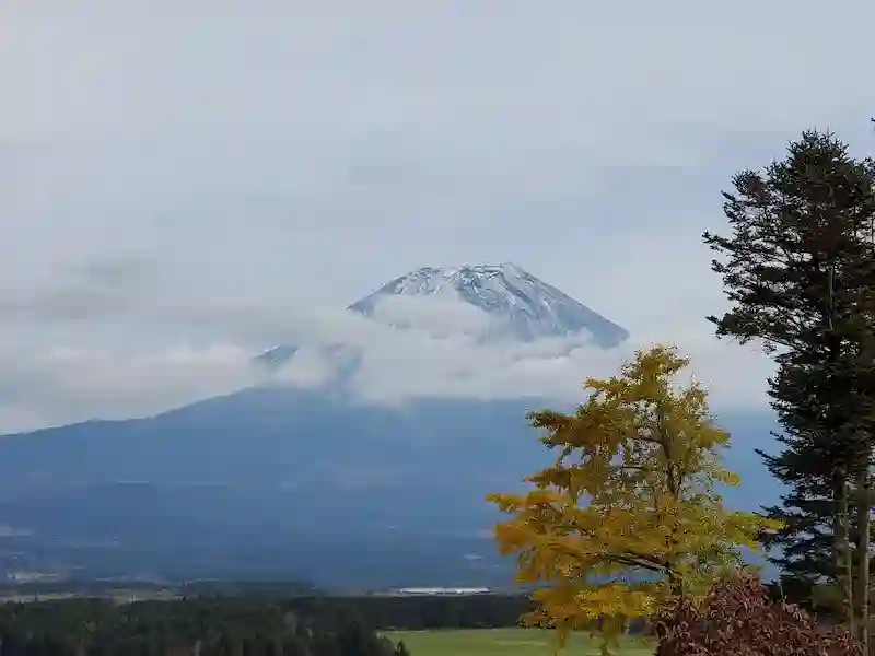 ソロキャンプ日記